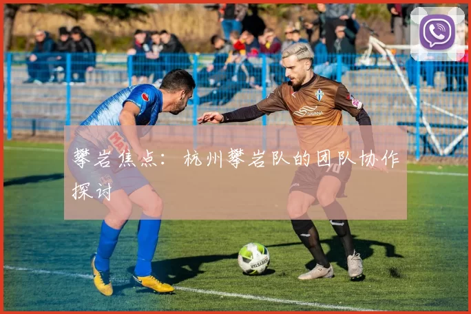 攀岩焦点：杭州攀岩队的团队协作探讨