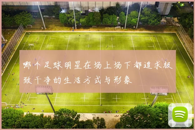 哪个足球明星在场上场下都追求极致干净的生活方式与形象