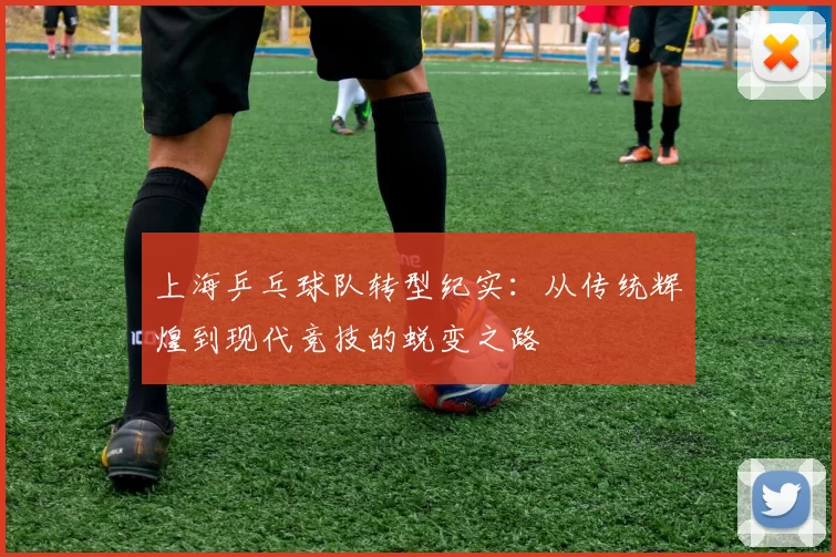 上海乒乓球队转型纪实：从传统辉煌到现代竞技的蜕变之路