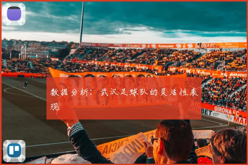 数据分析：武汉足球队的灵活性表现