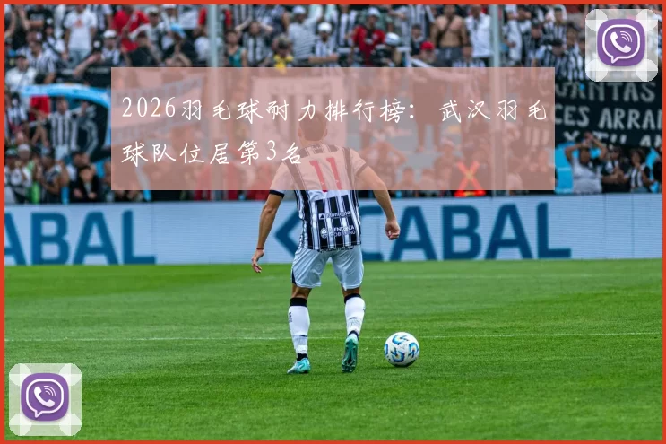 2026羽毛球耐力排行榜：武汉羽毛球队位居第3名