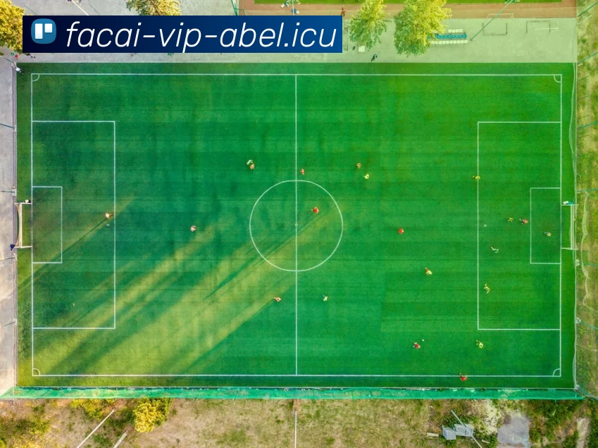 MK体育平台生态图