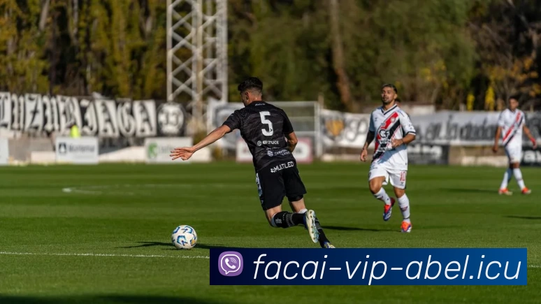 MK体育APP 封面图